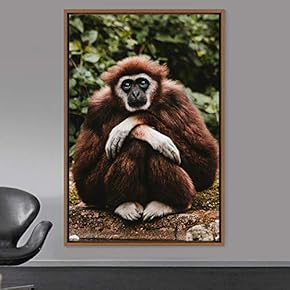 signwin Framed Canvas Wall Art Monkey Animals Expressive...