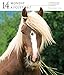 Horse Page-A-Day Gallery Calendar 2017