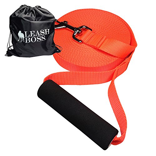 Leashboss Free Range 30 Foot Long Nylon Dog Leash for Large Dogs with