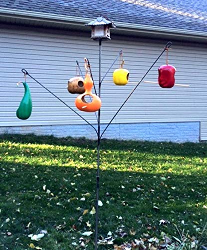 Amazon Com Backyard Garden Bird Feeder Hanger Birdhouse Bottle