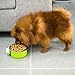 Ordermore Crate Bowl,Stainless Steel Removable Hanging Food Water Bowl Cage Coop Cup for Dogs,Cats,Birds,Small Animals,Holds 14 Ounce