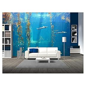 Small Shark in The Ocean with Amazing Light Ray - Removable Wall Mural | Self-Adhesive Large Wallpaper - 66x96 inches