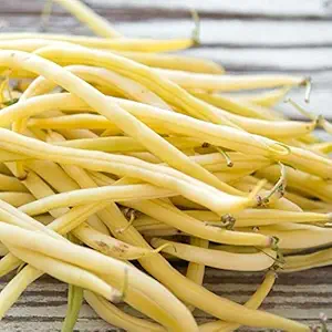 Golden Wax Bush Bean Plant Seeds, 50 Heirloom Seeds Per Packet, Non GMO Seeds