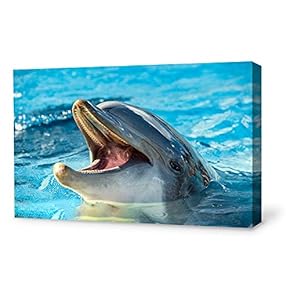signwin Canvas Wall Art Lovely Dolphin Canvas Prints...