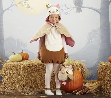 Amazon Com Pottery Barn Kids Owl Halloween Costume 2t 3t Costume