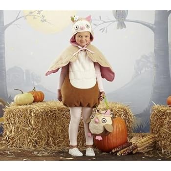 Amazon Com Pottery Barn Kids Owl Halloween Costume 2t 3t Costume
