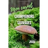 Champignons Comestibles Du Quebec Les Connaitre Les Deguster Amazon Ca Despres Jean Books