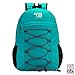 SOMISS 25L Water Resistant Lightweight Packable Foldable Folding Camping Daypack Camping Backpack (fruit green, 25L)