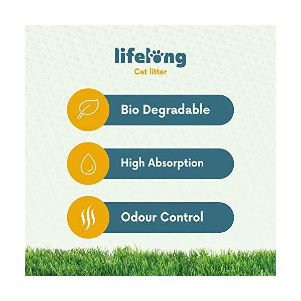 Amazon Brand - Lifelong Corn Cat Litter 10L