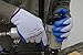 Lakeland SpiderGrip 7-1506 Dipped Latex Coated Palm, Slip Resistant, Knit Work Glove, Grip, Medium, Grey/Blue X-Large (12 Pair)