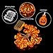 JOYLAMP Halloween String Lights,30LEDs Halloween Lights,13ft Battery Powered 3D Pumpkin Lights Halloween Decoration Lights with 8 Modes IP65 Waterproof (Warm White)