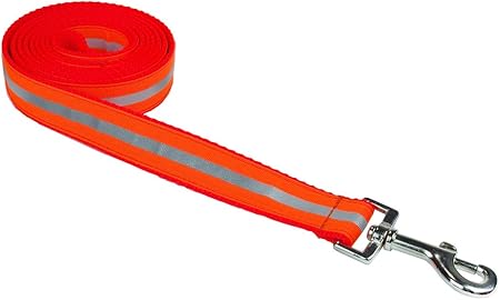 orange dog leash