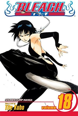 Maximum bleach 17: Kubo, Tite: 9788413349213: Amazon.com: Books