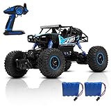 DoitY Electric RC Car, 1:16 4WD 2.4Ghz High Speed Off Road Remote Control Car/ Vehicle/ Truck/ Crawler Climber, Two Rechargeable Batteries Included, Adults and Kids