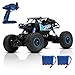 DoitY Electric RC Car, 1:16 4WD 2.4Ghz High Speed Off Road Remote Control Car/ Vehicle/ Truck/ Crawler Climber, Two Rechargeable Batteries Included, Adults and Kids