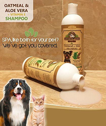 Oatmeal Dog Shampoo with Aloe Vera and Vitamin E - Hypoallergenic Dog Shampoo for Pets with Dry, Sensitive or Itchy Skin - All Natural Fragrance Free, 16 Ounces of the Best Dog Shampoo for Dry Skin