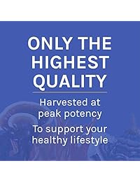 Host Defense - Sellos 7 polvo de micelio