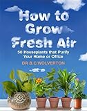 How To Grow Fresh Air: 50 Houseplants That Purify Your Home Or Office: 50 Houseplants That Purify Yo by