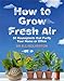 How To Grow Fresh Air: 50 Houseplants That Purify Your Home Or Office: 50 Houseplants That Purify Yo by