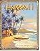 Hawaii - Playground Tin Sign 13 x 16in