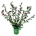 Juvale Green Balloon Weight Centerpiece - Pack of 6, Round Design - Balloon Weights for Party Decor & Table Centerpieces