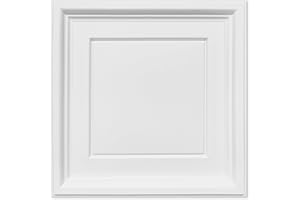 Noooza 2ft x 2ft Drop Ceiling Tiles, White Icon Relief Ceiling Tiles 24 x 24in. Waterproof, Washable and Fire-Rated - Reusable - High-Grade PVC to Prevent Breakage Cover 48 Sq. Ft, Pack of 12 Tiles