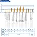 Paint Brushes, StarVast 12pcs Paint Brush Set | Acylic Painting Brushes for Watercolor, Oil, Acrylic, Gouache, Plein Air Crafts, Miniatures, Models, Rock, Art, Hobbies, Nail, Face Painting