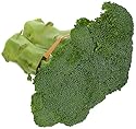 Broccoli, 1 Bunch