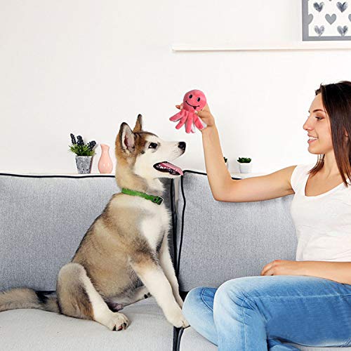 LEGEND SANDY Squeaky Plush Dog Toy Pack for Puppy, Small Stuffed Puppy