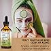 Offernova Organic Castor Oil, Pure Cold Pressed - Eyelash Serum for Hair Growth, Thicker Eyebrows - Hexane Free- Aceite de Ricino Organico para Crecimiento Pestañas