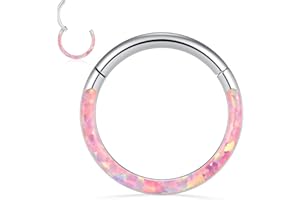 PEAKLINK 16G 18G 316L Stainless Steel CZ/OPAL Septum Piercing Septum Clicker Ring Hinged Nose Ring Daith Earrings Conch Piercing Jewelry Helix Cartilage Tragus Lobe Belly Hoop Earring