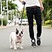 Downtown Pet Supply Dog/Puppy Obedience Recall Training Agility Lead
