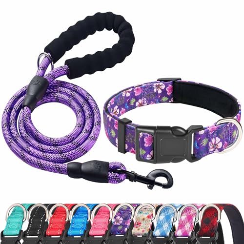 Ladoogo dog collar small purple pink