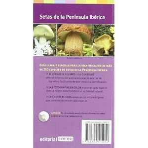 Setas de la Peninsula Iberica: Guia Clara y Sencilla para su Identificacion