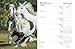 Gypsy Vanner Horse 2018 Calendar