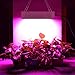 LED Grow Light, Atopsun Full Spectrum 600W Plants Grow Lights with Daisy Chain, Double Switch Led Grow Lamp for Greenhouse Indoor Plants Veg and Flower
