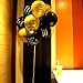 Funny Birthday Decorations for Him Abusive Balloons For 30th 40th 50th Birthday Decorations For Men And Women Birthday Party Supplies Gold and Black 10 Pcs