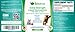 BeMedFree.com Extra Strength Liquid Glucosamine For Dogs & Cats, Soothing Joint Relief, 16 fl.oz