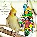SunGrow Parrot Chewing Toy, Nibbling Keeps Beaks Trimmed, Preening Keeps Feathers Clean, Keeps Physically & Psychologically Fit, Multicolored Wooden Blocks Attract Pet’s Attentionthumb 3