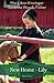 New Home for Lily (The Adventures of Lily Lapp) by Mary Kinsinger