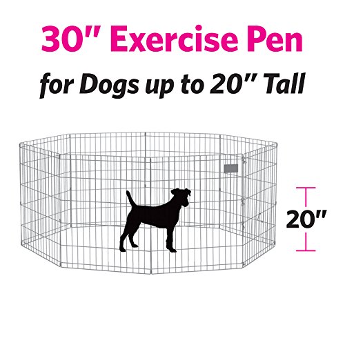 3 New+World+Pet+Products+B552+30