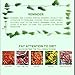 Chinese Herbal Hemorrhoids Cream, Natural Plant Hemorrhoids Treatment Cream Anal Cream for Internal Hemorrhoids Piles External Anal Fissure