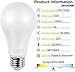 Amazing power 100W Equivalent Light Bulbs, 12W E27 LED Bulbs Medium Screw Base Bulbs Non-Dimmable Daylight White 4-Pack