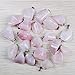Irregular Shape Stone Pendant Healing Crystal Charms Gems Gemstone Mutil Random for Necklace Jewelry Making(30pcs)