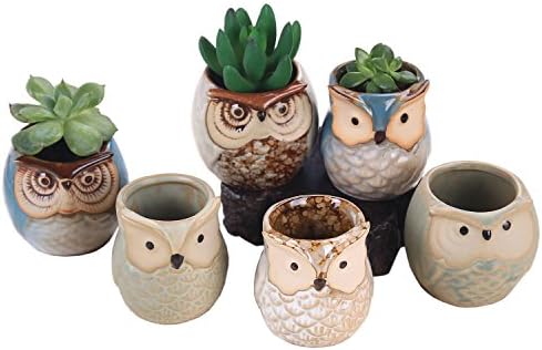 Owl Pot Ceramic Succulent Plant Handmade 6-Pcs Mini Small Ceramic Owl Flower Planter Pot Flower &amp; Herb Pot Cactus Plant Pot (pattern one-6 pcs)