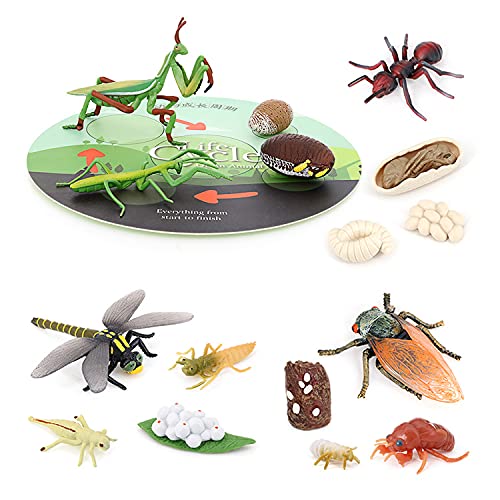 Volnau Animal Figurines Toys 16PCS Life Cycle Figure Set for Toddlers Kids Dragonfly Mantis Ant Cicada Decorations Preschool Educational Prop