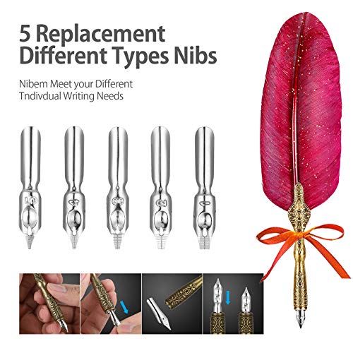 Quill Pen Ink SetQuill Pen Set Includes Feather Dip Pen,Ink,5
