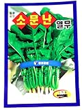 Yeolmu Seeds Korean. 2 Pack(4grams-each)