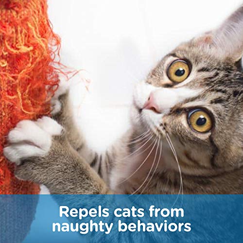 Claw Withdraw Cat Scratch Deterrent Spray to Safely and Naturally