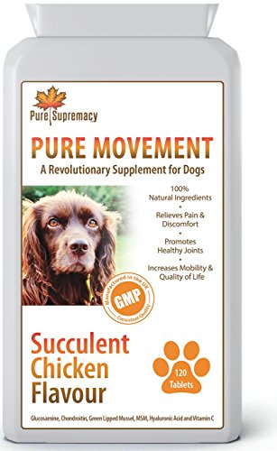 dog joint supplements hyaluronic acid